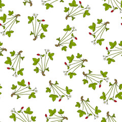 Seamless pattern with wild strawberry (fragaria vesca), medicinal and edible plant. Vector illustration