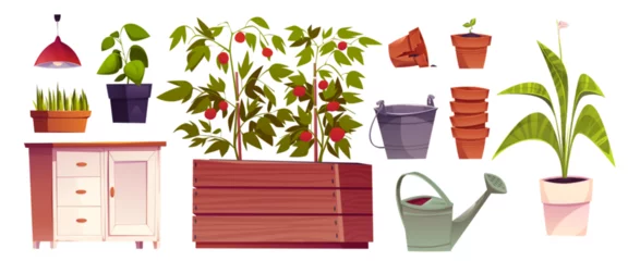Foto auf Alu-Dibond Greenhouse furniture and plants set isolated on white background. Vector cartoon illustration of tomato bushes growing in wooden box, green grass in flowerpot, clay pots stack, metal bucket, waterer © klyaksun