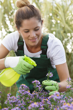 young woman spraying pesticide on her flowers