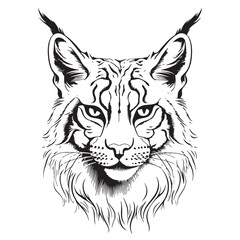 Obraz premium Lynx. Sketch, drawn, graphic portrait of a lynx head on a white background