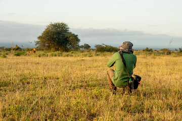 a back view of a man photographing a lion in the bushes. Dangerous African safari. Photo hunting. Tourist photographer on safari in Namibia