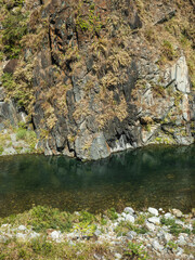 The clear stream in the canyon.
