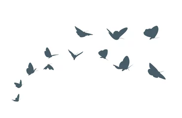 Fotobehang The flock of a blue butterflies.  © designer_an