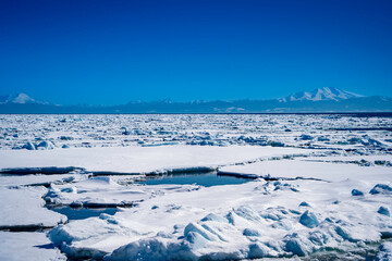 網走の流氷 © ANSHIN