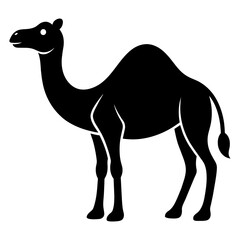 camel with a sign