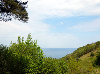 On the island of Hiddensee (Germany)