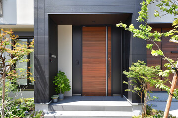 Modern entrance, simple wooden front door