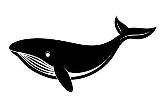 recommend clip art: whale silhouette vector illustration