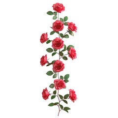 Red roses on Transparent Background