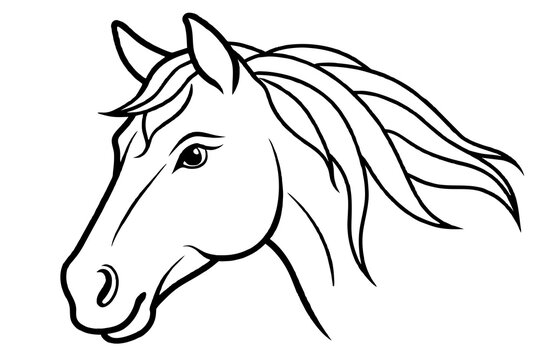 horse head silhouette vector illustration