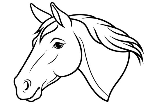 horse head silhouette vector illustration