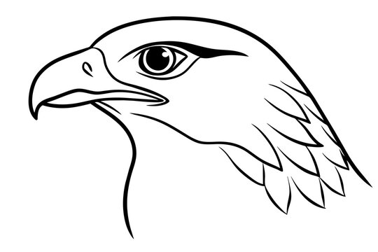 hawk head silhouette vector illustration