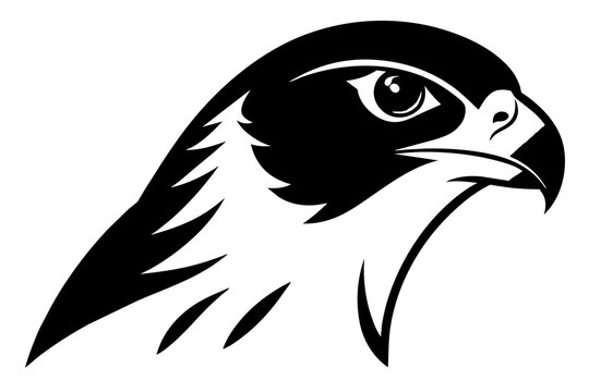 recommend clip art: falcon head silhouette vector illustration