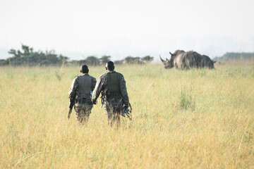 Persons in closed green khaki color clothes standing in a middle of field. Rhinos grazing on the...