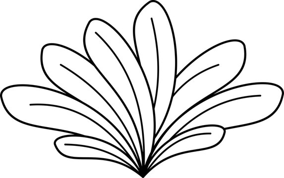 recommend clip art: Hand Drawn Seaweed Outline