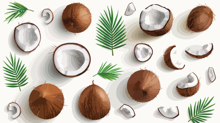 Isolated vector set of whole coconut coc