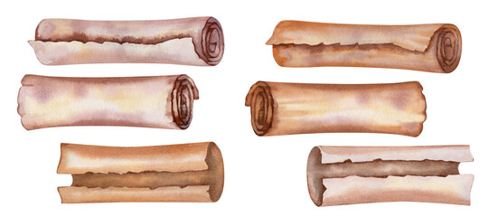 Watercolor old parchment paper scroll sheet, vintage age texture isolated on white background for stylish Book Day, scrapbook, libraries, website, sticker, border, certificate, label, invitation