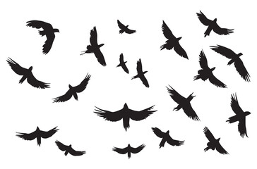 Birds set black silhouette isolated vector