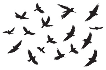Birds set black silhouette isolated vector
