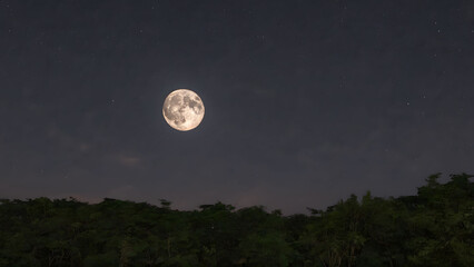 Fototapeta na wymiar Full Moon Illuminating River and Sky