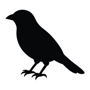 silhouette of a weaver bird