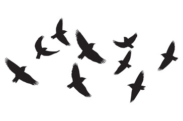 Birds set black silhouette isolated vector