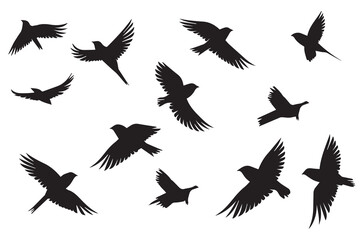 Birds set black silhouette isolated vector