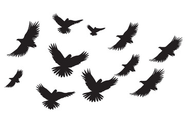 Birds set black silhouette isolated vector