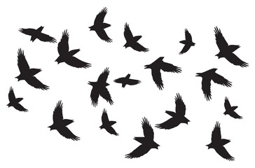 Flying birds black silhouettes set vector