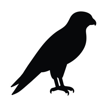 silhouette of a kestrel bird