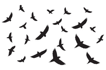 Flying birds black silhouettes set vector