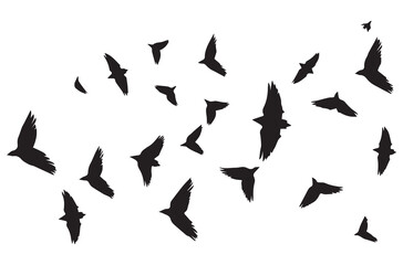 Flying birds black silhouettes set vector