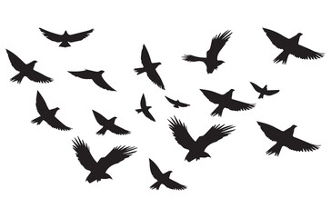 Flying birds black silhouettes set vector