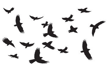 Flying birds black silhouettes set vector