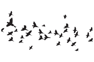 flying birds silhouette set flying birds icon set Set of flying birds silhouettes