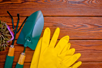 Garden tools on the background of a brown wooden table
