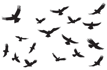 flying birds silhouette set flying birds icon set Set of flying birds silhouettes
