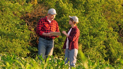 Agronomist farmer colleagues analyzing corn production control use tablet outdoor. Man and woman...