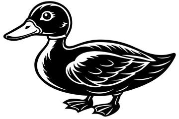 duck illustration