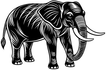 elephant-vector-illustration 