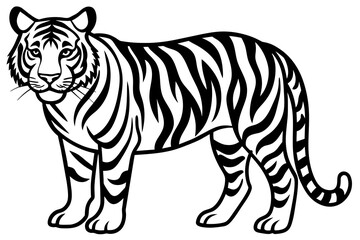 simple -tiger-vector-illustration
