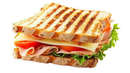 Delicious sandwich isolated on white background