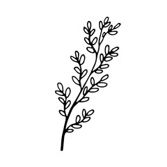 Simple decorative plants brunch with leaves for design. Black line doodle herb. Hand drawn clip art illustration in doodle style for poster, banner,print, greeting card. Isolated on white background.