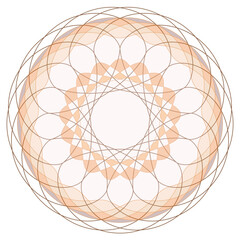 リングケーキのようなドーナッツ型の模様