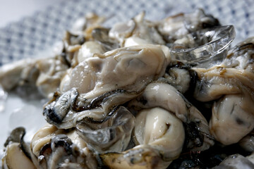 fresh raw oysters on a plate