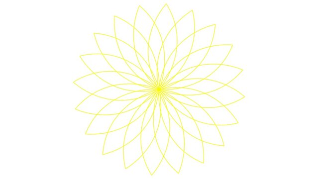 Animated yellow linear flower is drawn gradually. Line symbol of lotus blossom. Concept of spring, yoga, meditation, nature, summer, beauty, gardening. Looped video. Vector illustration isolated on wh