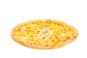 cheese pizza isolated