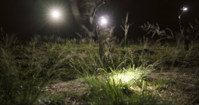 Detective, search party and flashlight at night in field, missing person and investigation of police. Crime scene, outdoor and tactical team to patrol in dark and coordination of emergency response