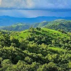 Obraz premium view from the hill
