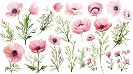 watercolor set with pink anemones, buds, leaves and twigs on a white background, - obrazy, fototapety, plakaty